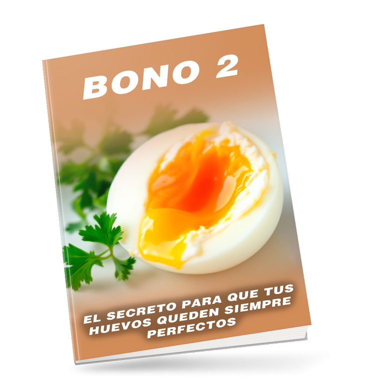 Bono 2: Consejos Prácticos